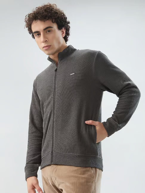 Park Avenue Dark Grey Slim Fit Sweatshirt (पार्क ॲव्हेन्यू डार्क ग्रे स्लिम-फिट स्वेटशर्ट)