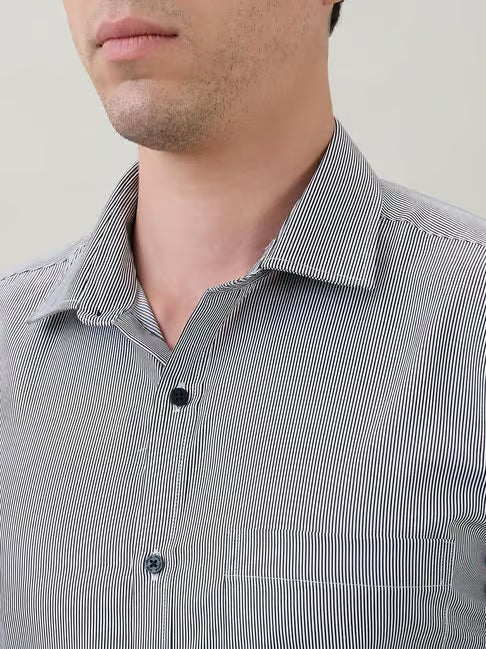 Park Avenue Slim Fit Striped Shirt (पार्क ॲव्हेन्यू स्लिम-फिट शर्ट)
